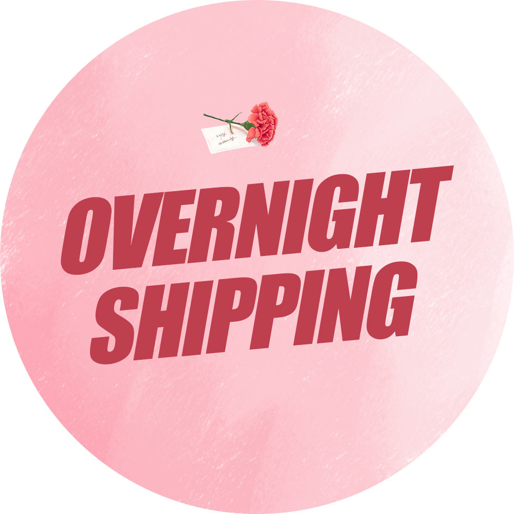 overnight shipping