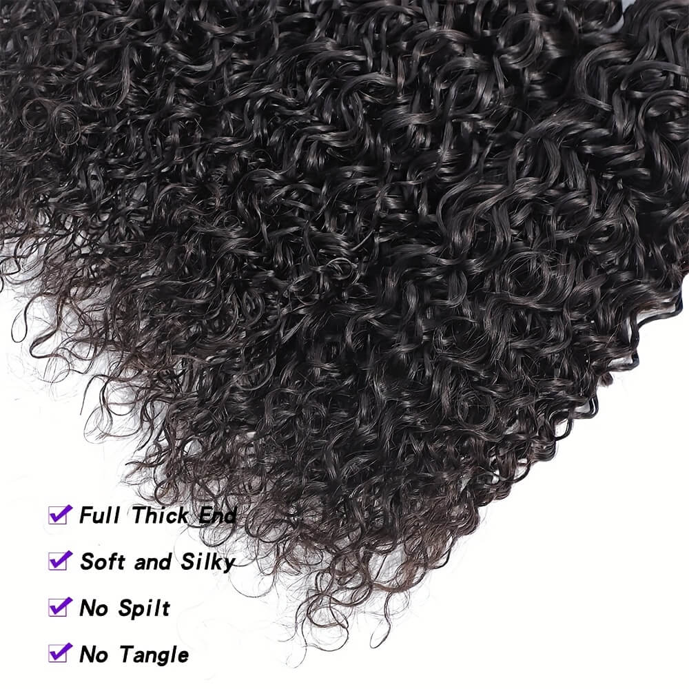 Malaysian Curly Hair 3 Bundles 100% Virgin Human Hair Weave One More