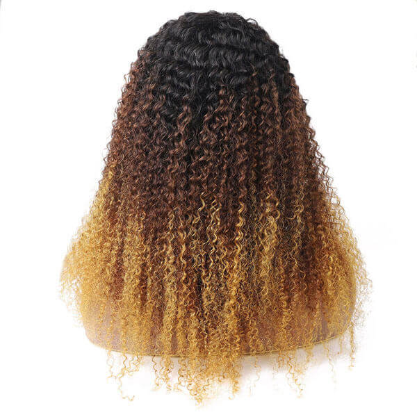 1b/4/27 curly human hair wig